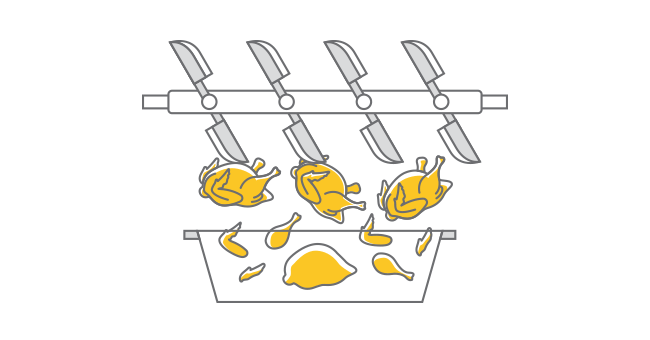 BRAND’S<sup>®</sup> Essence of Chicken Manufacturing Process – Step 01 - Extraction of Essence